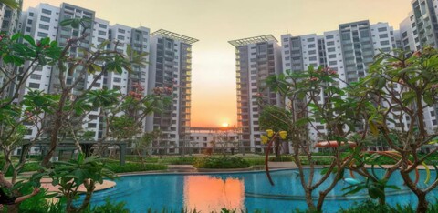 젬 에메랄드 - 셀라돈 시티 탄푸