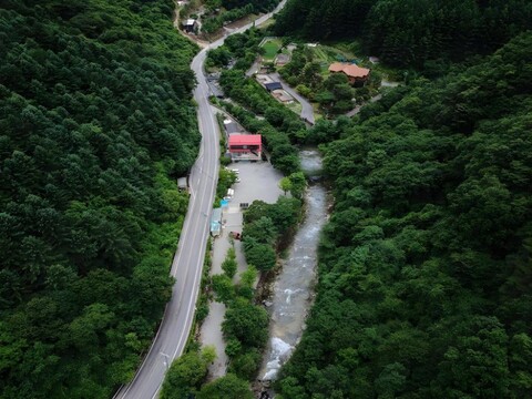 왕소나무 하우스 펜션
