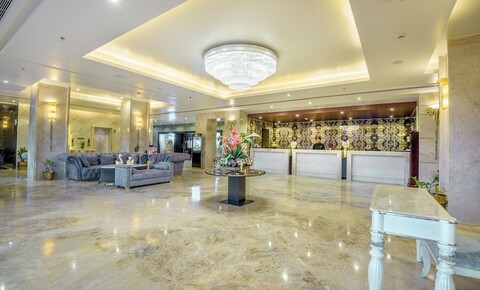 골든 튤립 쿠카스 자이푸르