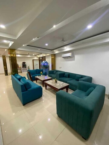 그로우 모데스티