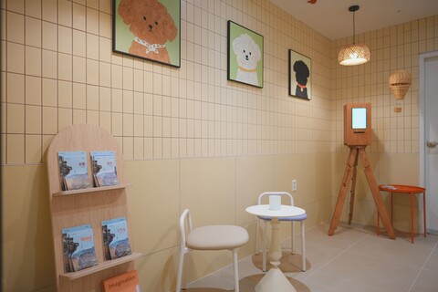 스테이 헬로 신촌 홍대