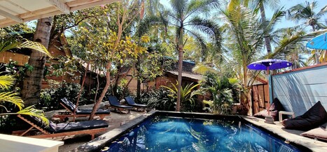 오르티지아 트로피컬 로지