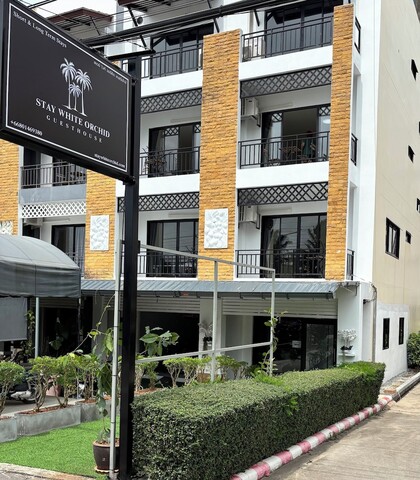 스테이 화이트 오키드