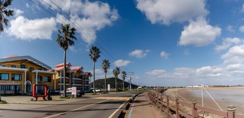 성산 애견동반솔펜션