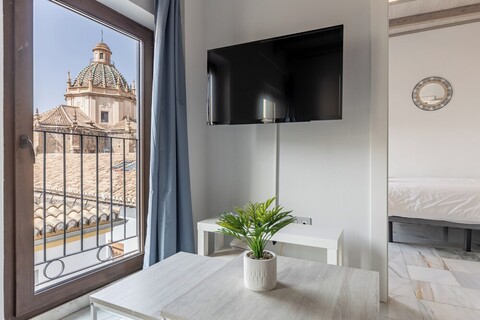 아파르타멘토스 레알레호 그라나다 센트로 3000