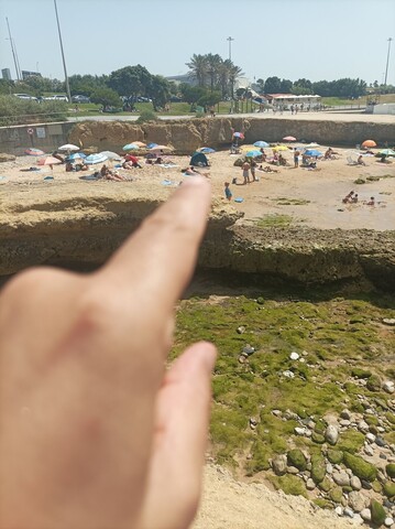 레볼레이라