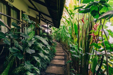 히마야 시아르가오