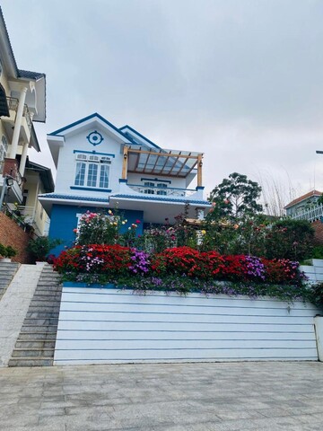 빌라 짜미 달랏 - 프리 BBQ 가든