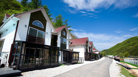 춘천 남이섬 펫단체