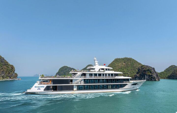 씨 옥토퍼스 크루즈 1일 투어 (SEA OCTOPUS DAILY CRUISE)-i
