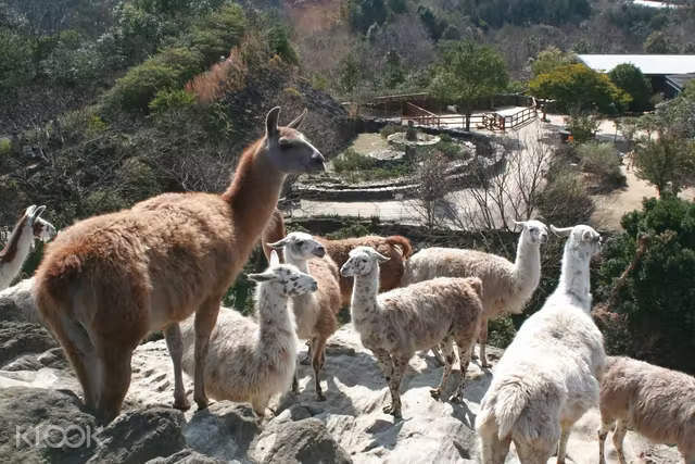 여행 상품 이미지