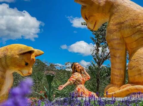product-thumbnail-2