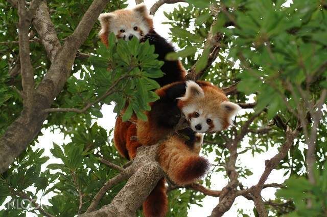 여행 상품 이미지