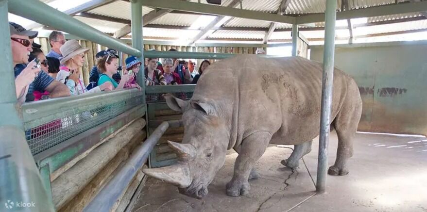 여행 상품 이미지