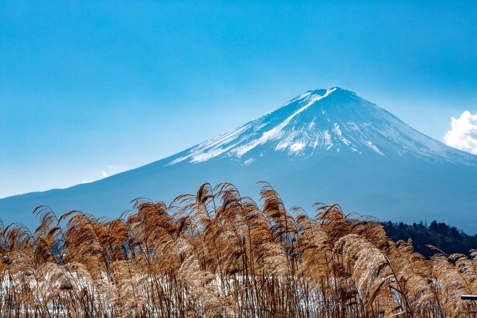 여행 상품 이미지