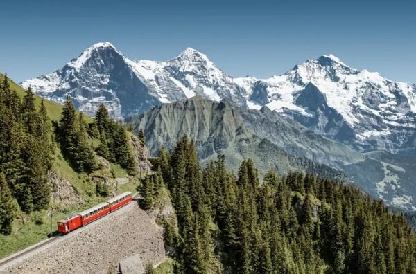 여행 상품 이미지