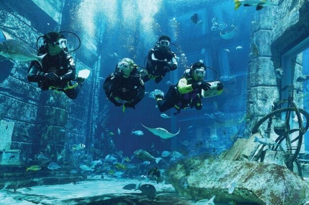 두바이의 The Lost Chambers Aquarium에서 Atlantis Scuba Diving Experience