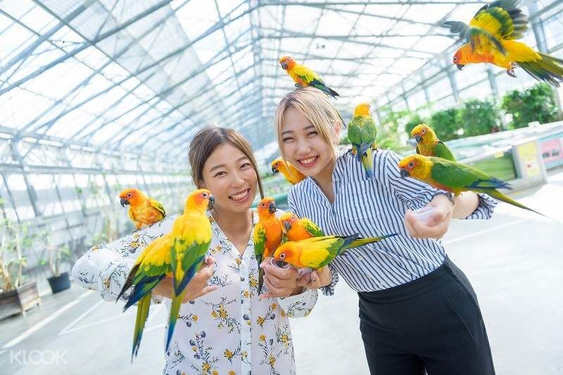 시즈오카 가케가와 가초엔 입장권