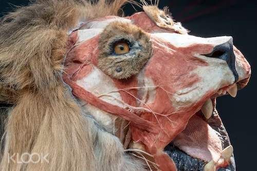 여행 상품 이미지