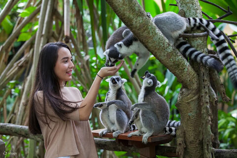 발리 티켓·입장권 - 발리 동물원 입장권 Bali Zoo