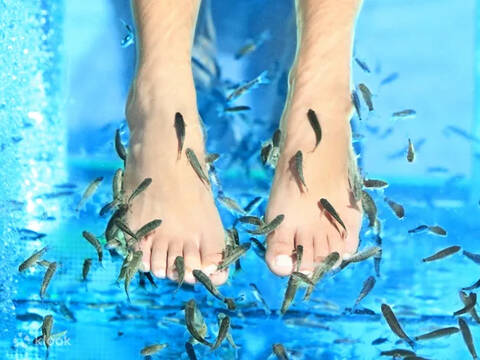 product-thumbnail-2
