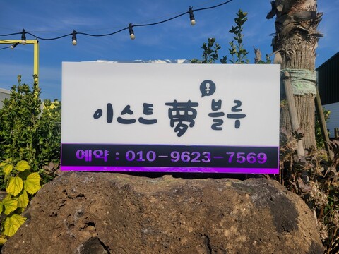 제주 이스트몽블루카라반캠핑