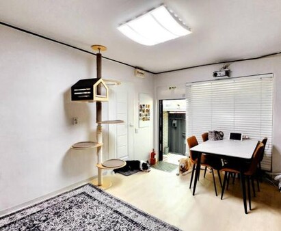 Ilbo Stay Seoul Homestay with Dog & Cat
