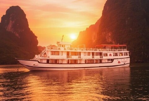 비엣세일즈 크루즈