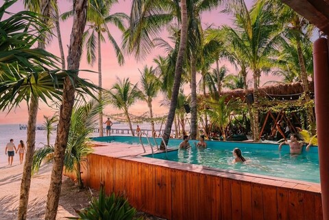 마얀 몽키 이슬라 무헤레스 | 소셜 호텔