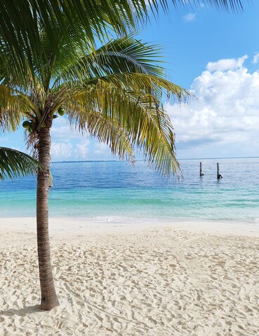 호텔 마야 카리브 파란다