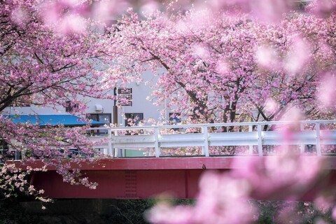 이즈 이마이하마 도큐 호텔