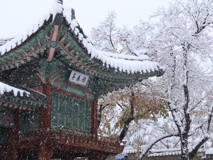 서울 투어: 궁궐·북촌·남산·인왕산 – Licensed Guide-i
