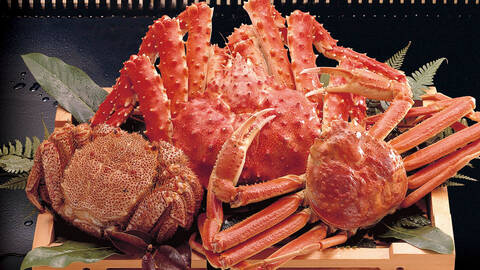 product-thumbnail-4