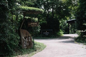 山荘 紗羅樹 Syaranoki