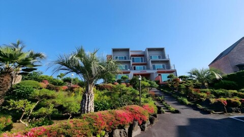 제주 오아시스휴양펜션