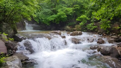 해산 관광 농원