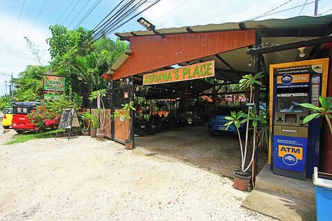 아드리아나의 장소 열대 게스트하우스