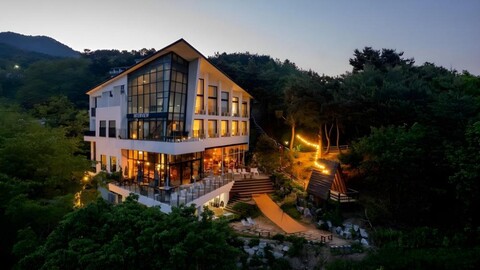 스테이 인터뷰 강릉