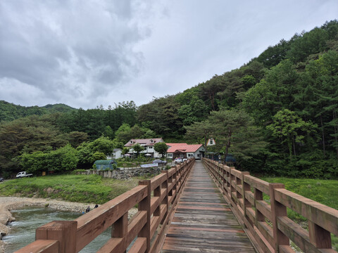 홍천 리버뷰소나무펜션