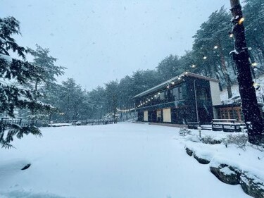 별들의 기침 펜션