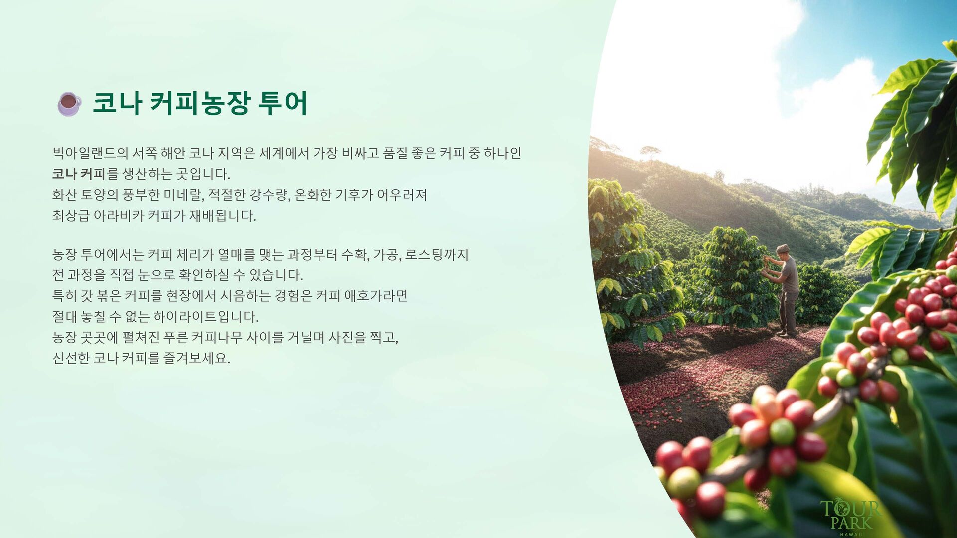 [빅아일랜드]1박/2박-호텔포함,마우나케아별자리,화산국립공원,핵심섬일주,국내선항공 포함 상세 이미지 13