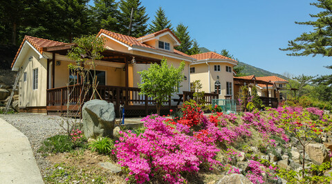 산청 와일드플라워펜션