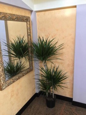 Hotel Marco Polo SELF CHECK-IN