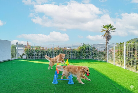 여수 네모애견동반풀빌라펜션