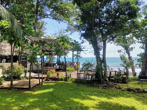 사프론 온 더 씨