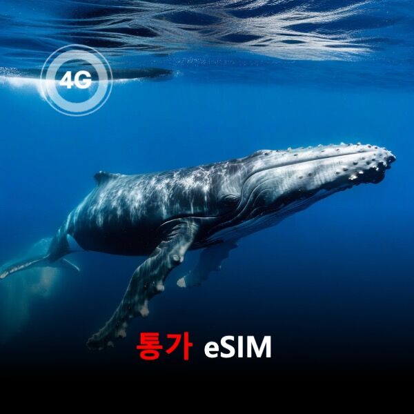 [통큰무제한] 통가 이심 eSIM 데이터 매일 3GB 초고속 이후 1Mbps 고속 무제한 