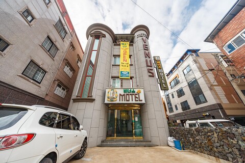 포항 죽도시장 비너스