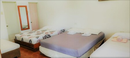 시아르가오 트로픽 호스텔