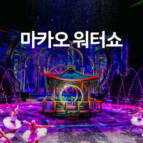 댄싱워터쇼
