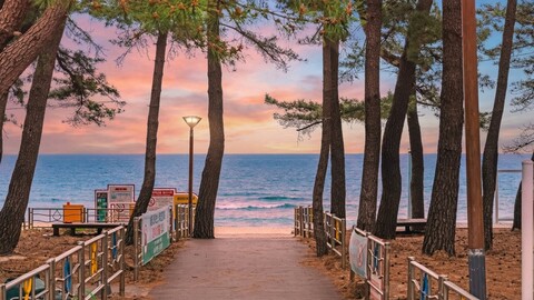 강릉(정동진) 바다풍경 오션뷰펜션